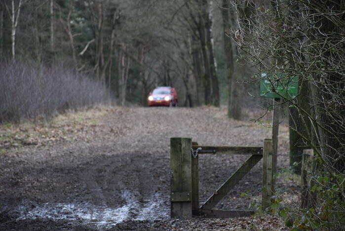 Ruiter ten val in bosgebied