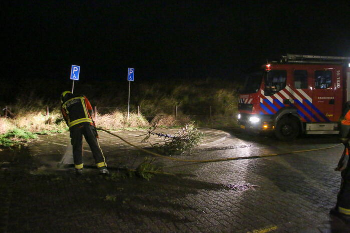 Stapel kerstbomen in brand