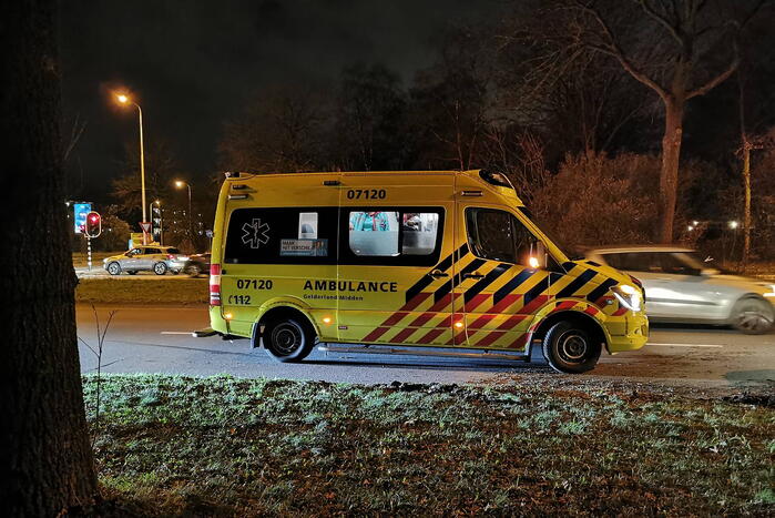 Auto raakt van weg en ramt boom