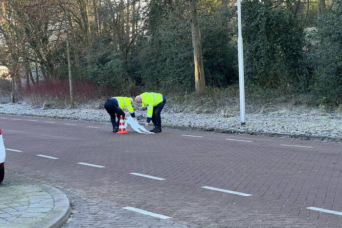 Fietser met spoed naar ziekenhuis gebracht