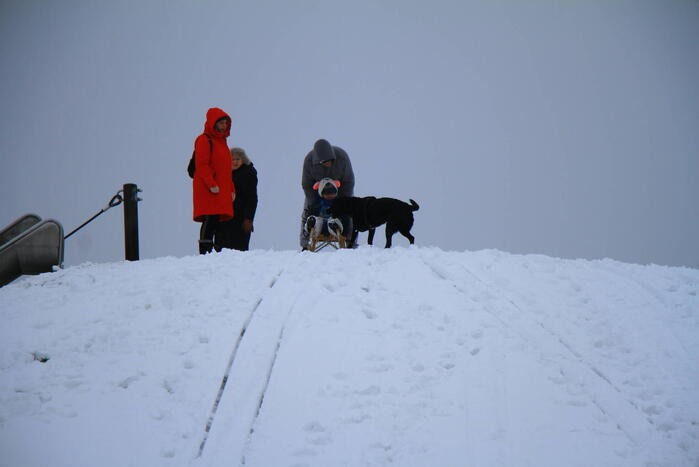 Winters weer zorgt voor sneeuwpret in Weert