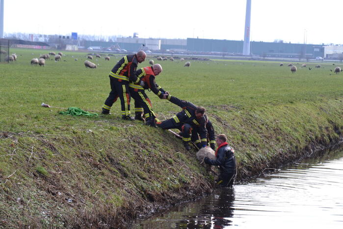 Beijerincklaan - N453 Nieuws Waddinxveen 