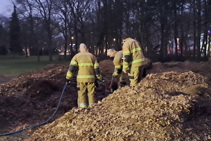 Brand in berg met bladeren