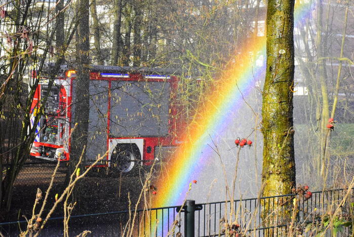 Brandweer probeert kat uit boom te spuiten