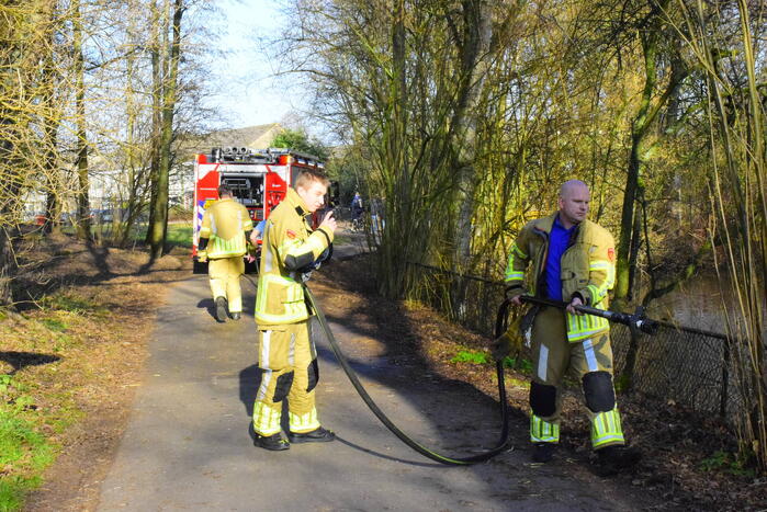 Brandweer probeert kat uit boom te spuiten