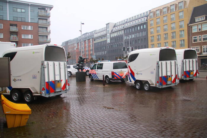 Stadsreiniging druk met rommel van supporters