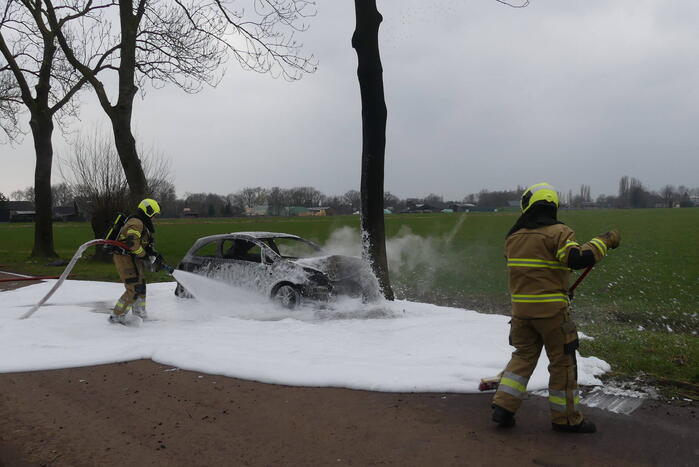 Auto vat vlam na frontale botsing tegen boom