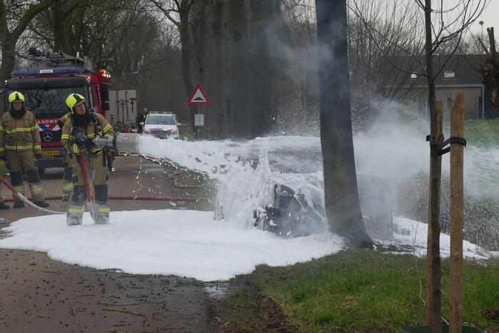 Auto vat vlam na frontale botsing tegen boom