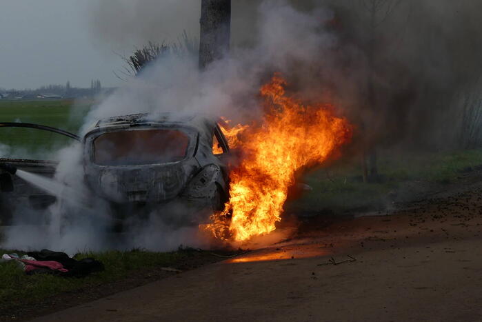Auto vat vlam na frontale botsing tegen boom