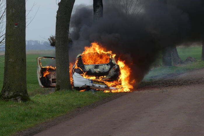 Auto vat vlam na frontale botsing tegen boom