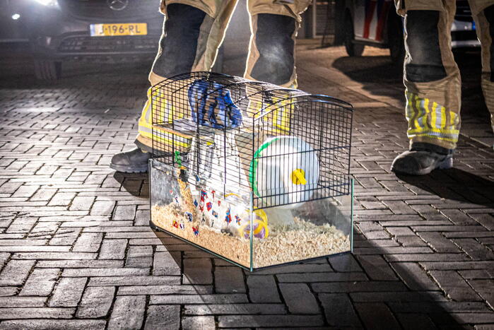 Grote brand bij pizzeria Porto Fino