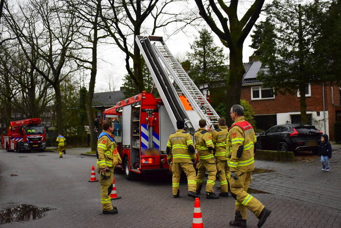 Brandweer redt kat uit boom