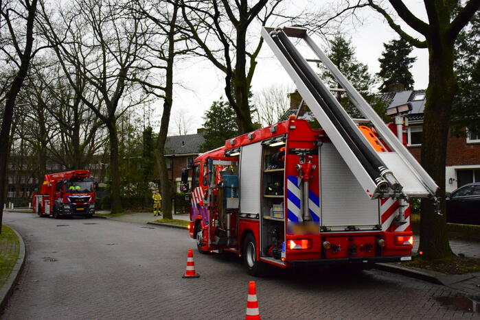 Brandweer redt kat uit boom