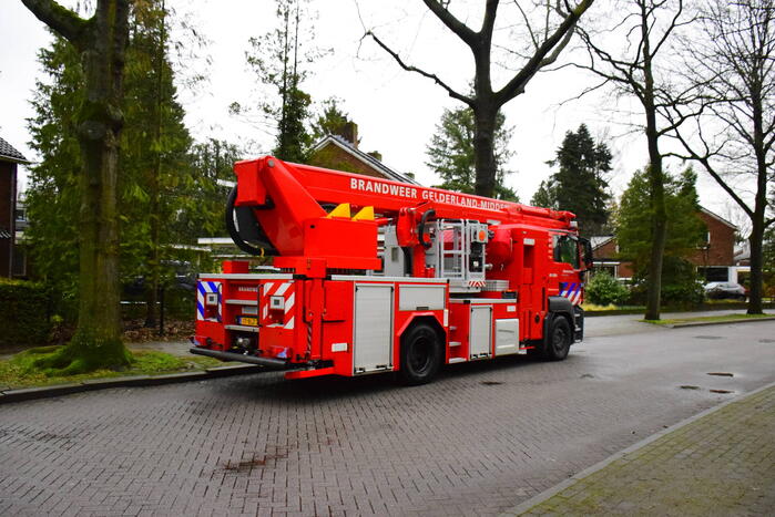 Brandweer redt kat uit boom