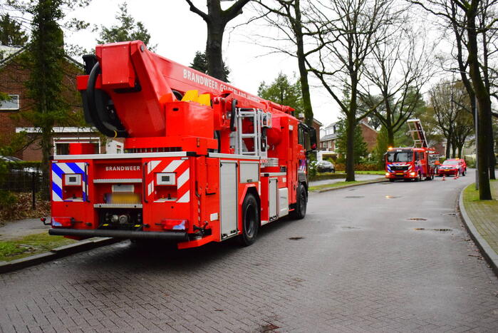 Brandweer redt kat uit boom