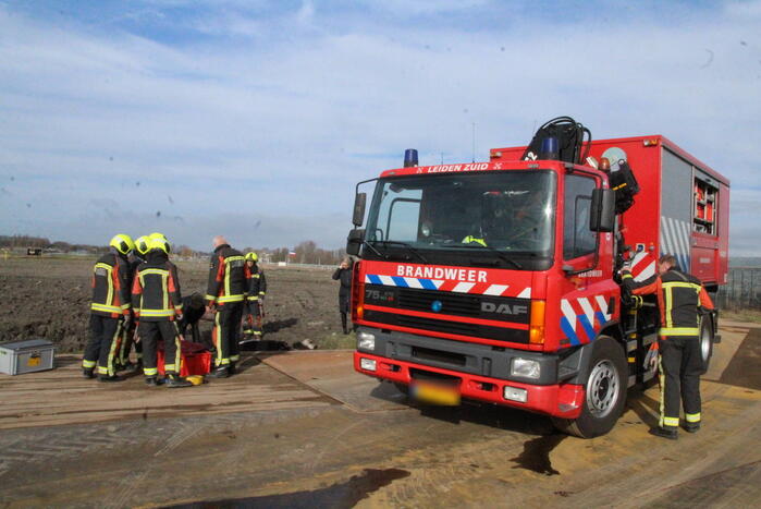 Paard valt in groot gat naast rijplaten