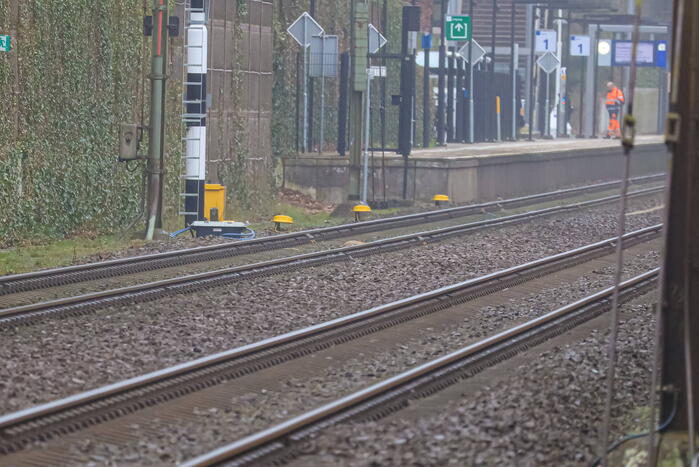 Vos aangereden door trein