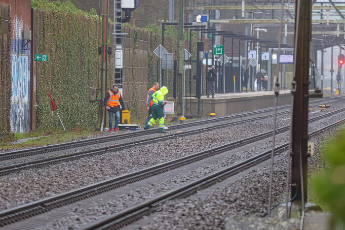 Vos aangereden door trein