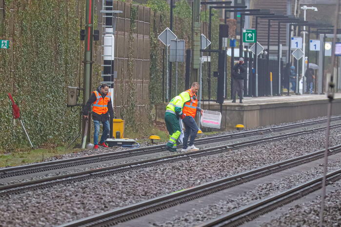 Vos aangereden door trein