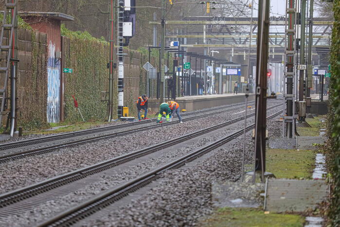 Vos aangereden door trein