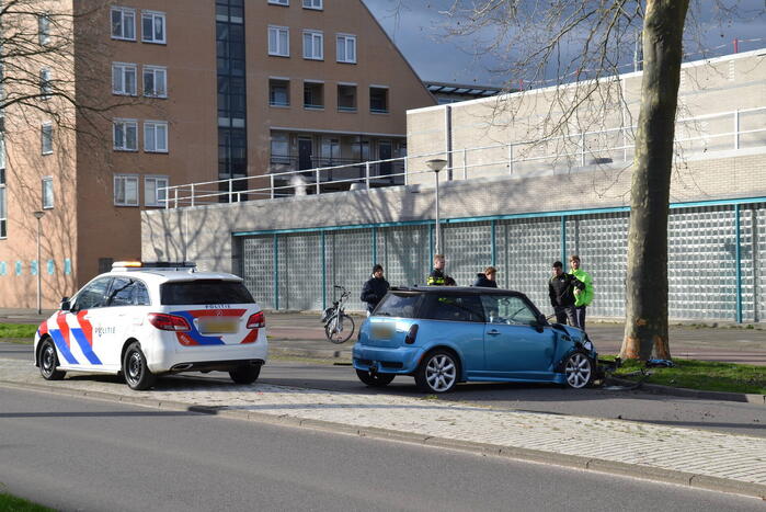 Automobilist eindigt tegen boom