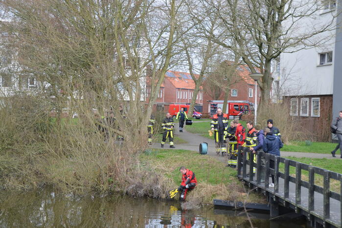 Meerkoet raakt verstrikt en wordt gered door brandweer