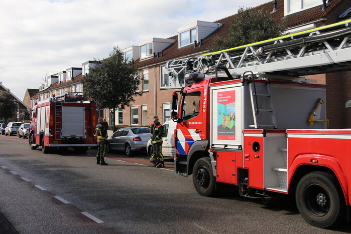 Vogel gevlogen bij reddingsactie