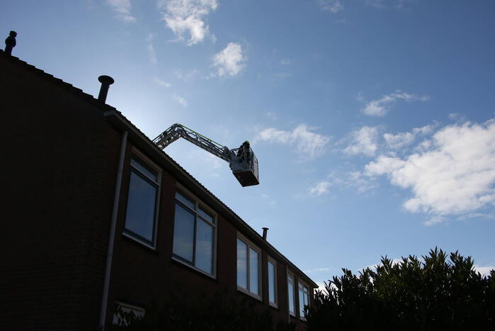 Vogel gevlogen bij reddingsactie