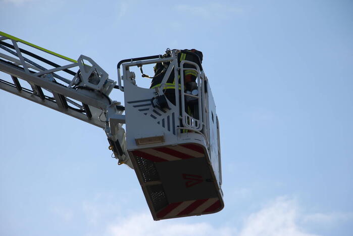 Vogel gevlogen bij reddingsactie