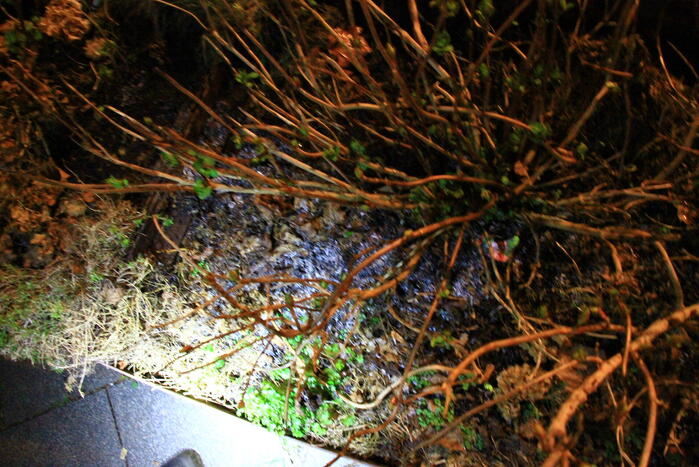 Rookontwikkeling bij buitenbrand