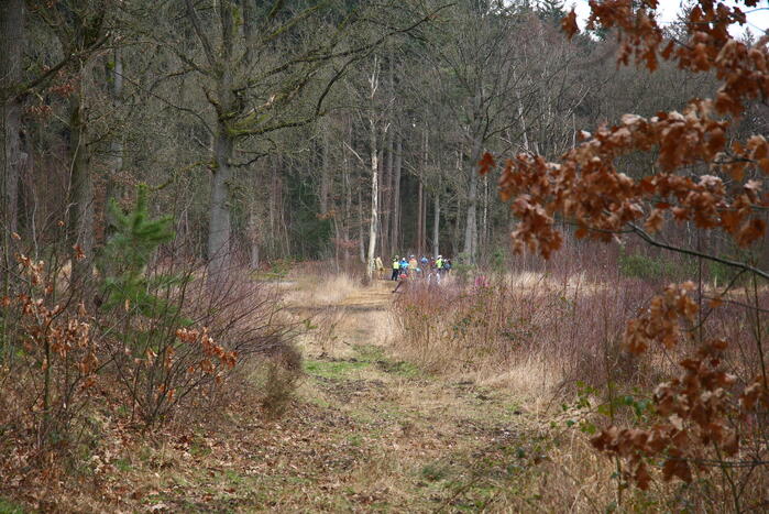 Mountainbiker gewond na val in bos