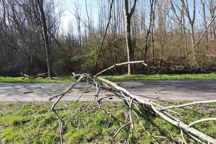 Omgewaaide bomen blokkeren weg