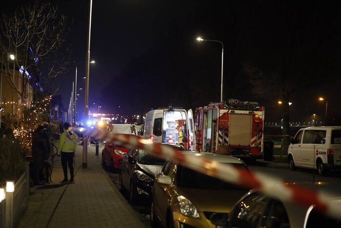 Vrouw en hond doodgereden