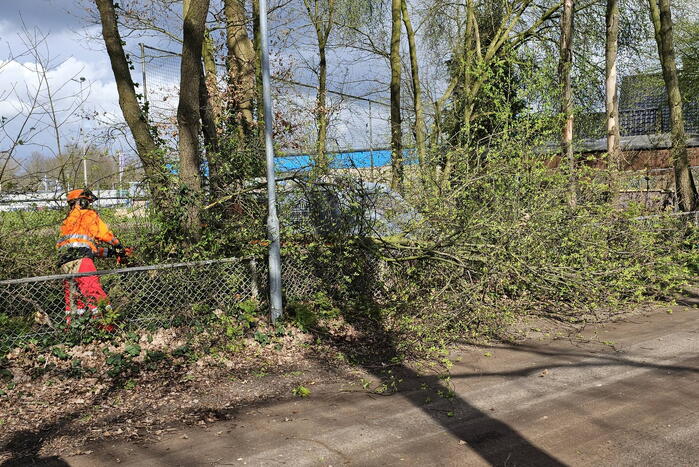 Brandweer zaagt deels omgewaaide boom om