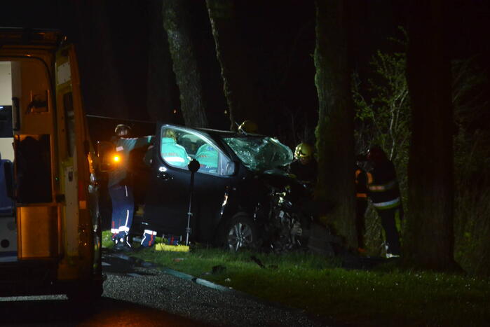 Bestuurder van bestelbus eindigt tegen boom