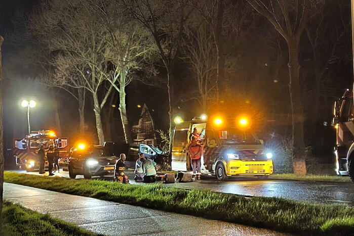 Bestuurder van bestelbus eindigt tegen boom