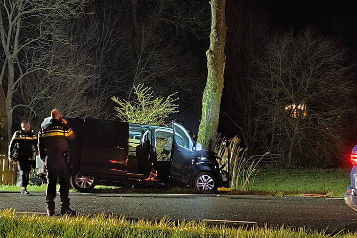 Bestuurder van bestelbus eindigt tegen boom