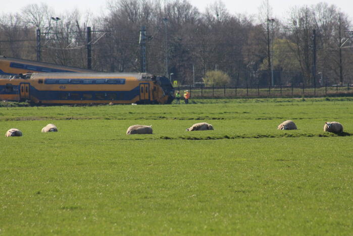 Dodelijk slachtoffer werkte aan het spoor