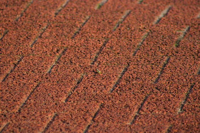 Meerdere schoten gelost op flatgebouw