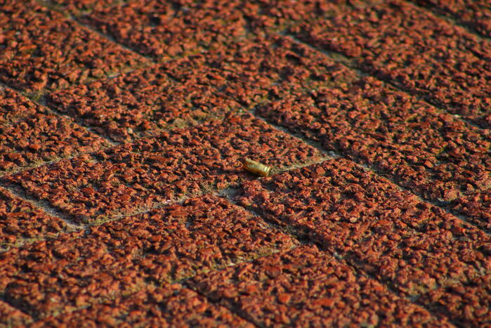 Meerdere schoten gelost op flatgebouw