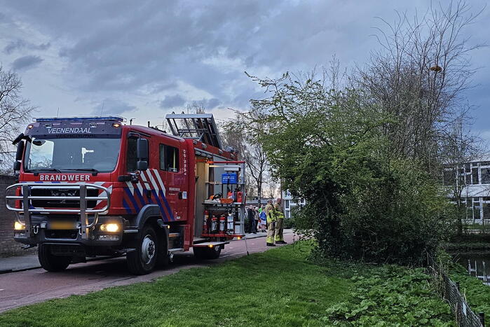 Brandweer ingezet voor kat in boom