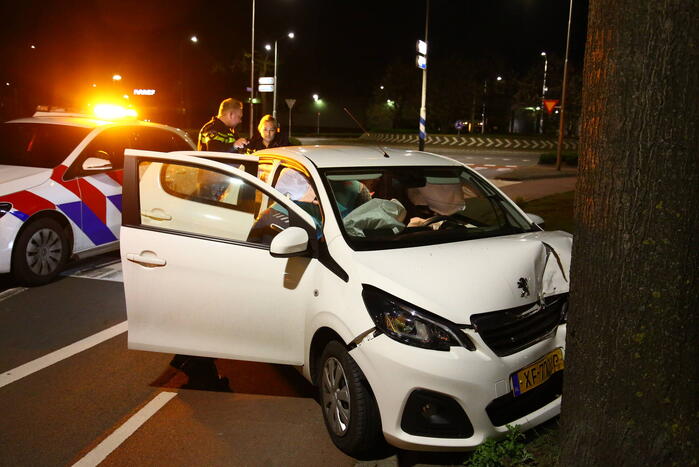 Automobilist eindigt tegen boom