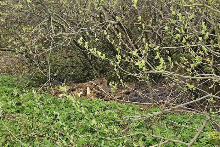 Treinverkeer vertraagd door buitenbrand