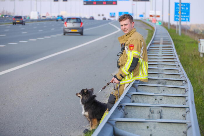 Flinke ravage op snelweg door ongeval