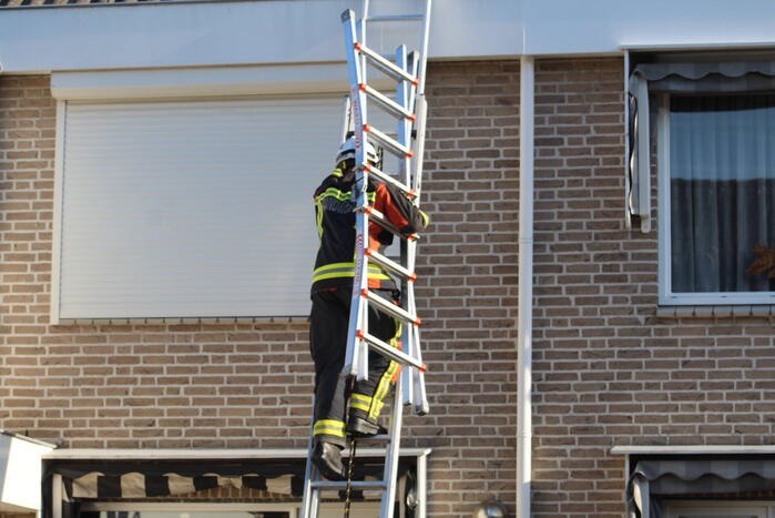 Brandweermannen halen kat van het dak