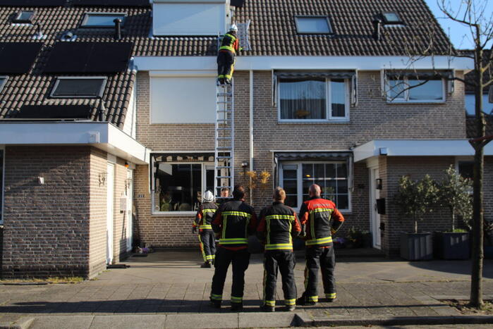 Brandweermannen halen kat van het dak