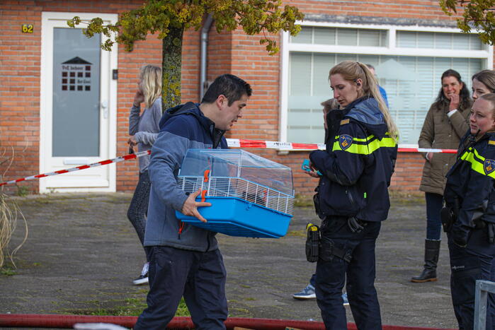 Veel schade naar brand op dak