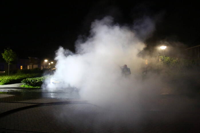 Bestelbus verwoest door brand