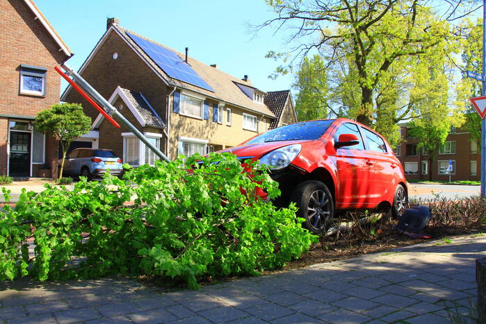 Automobilist ramt boom en verkeersbord
