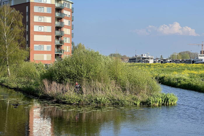 Brandweer vangt kalkoen